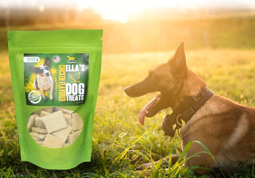 Ella's treats with a Malinois